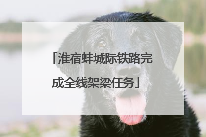 淮宿蚌城际铁路完成全线架梁任务