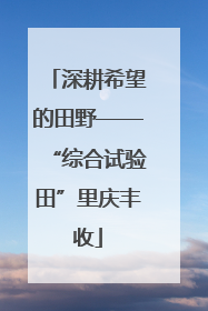 深耕希望的田野——“综合试验田”里庆丰收