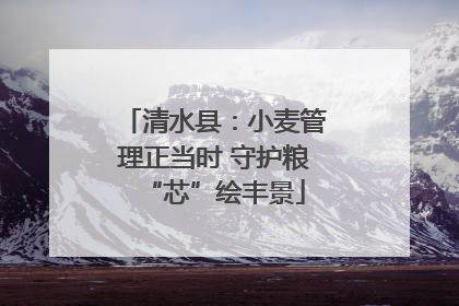 清水县：小麦管理正当时 守护粮“芯”绘丰景
