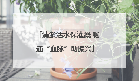 清淤活水保灌溉 畅通“血脉”助振兴