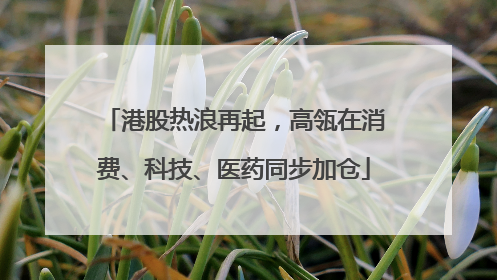 港股热浪再起，高瓴在消费、科技、医药同步加仓