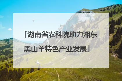 湖南省农科院助力湘东黑山羊特色产业发展