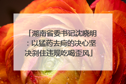 湖南省委书记沈晓明：以猛药去疴的决心坚决刹住违规吃喝歪风