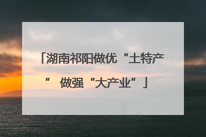 湖南祁阳做优“土特产” 做强“大产业”