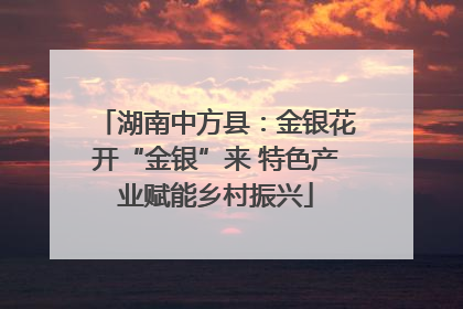 湖南中方县：金银花开“金银”来 特色产业赋能乡村振兴