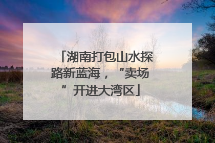 湖南打包山水探路新蓝海，“卖场”开进大湾区