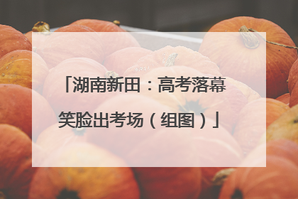 湖南新田：高考落幕 笑脸出考场（组图）