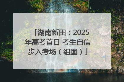 湖南新田：2025年高考首日 考生自信步入考场（组图）