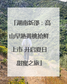 湖南新邵：高山早熟黄桃抢鲜上市 开启夏日甜蜜之旅