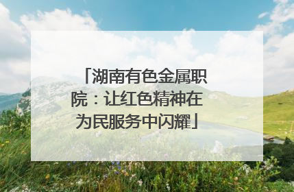 湖南有色金属职院：让红色精神在为民服务中闪耀