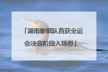 湖南象棋队首获全运会决赛阶段入场券