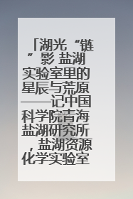 湖光“链”影 盐湖实验室里的星辰与荒原——记中国科学院青海盐湖研究所，盐湖资源化学实验室党总支书记、副主任刘忠