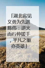 湖北省见义勇为先进陈伟：逆火而行伸援手，平凡之躯亦英雄