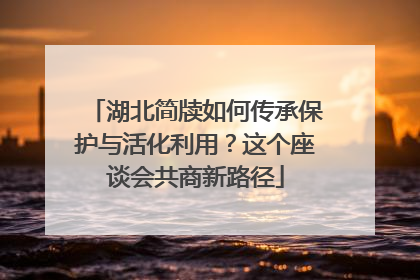 湖北简牍如何传承保护与活化利用？这个座谈会共商新路径
