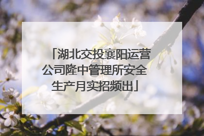 湖北交投襄阳运营公司隆中管理所安全生产月实招频出
