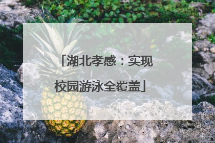 湖北孝感：实现校园游泳全覆盖