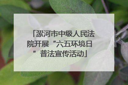 漯河市中级人民法院开展“六五环境日”普法宣传活动