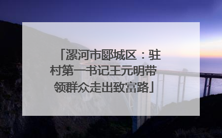 漯河市郾城区：驻村第一书记王元明带领群众走出致富路