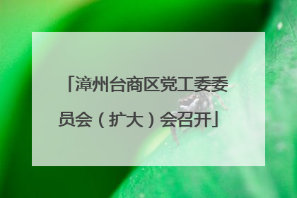 漳州台商区党工委委员会（扩大）会召开