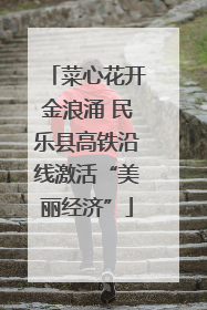 菜心花开金浪涌 民乐县高铁沿线激活“美丽经济”