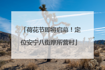 荷花节即将启幕！定位安宁八街摩所营村
