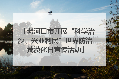 老河口市开展“科学治沙、兴业利民”世界防治荒漠化日宣传活动