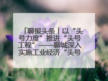 聊报头条丨以“头号力度”推进“头号工程”——聊城深入实施工业经济“头号工程”打造经济发展强引擎