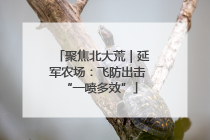 聚焦北大荒｜延军农场：飞防出击 “一喷多效”
