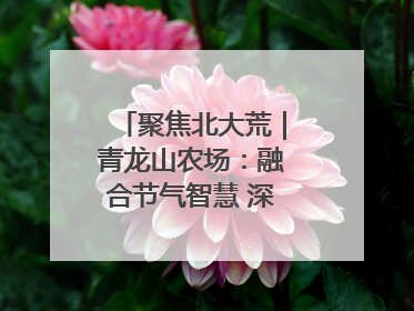 聚焦北大荒｜青龙山农场：融合节气智慧 深耕安全沃土