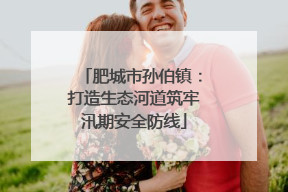 肥城市孙伯镇：打造生态河道筑牢汛期安全防线