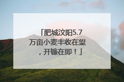 肥城汶阳5.7万亩小麦丰收在望，开镰在即！