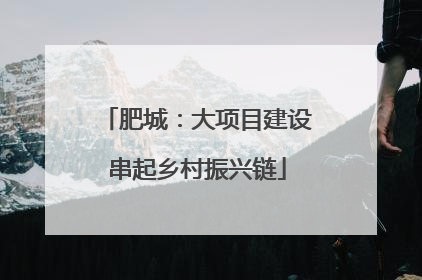 肥城：大项目建设串起乡村振兴链