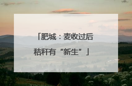 肥城：麦收过后秸秆有“新生”