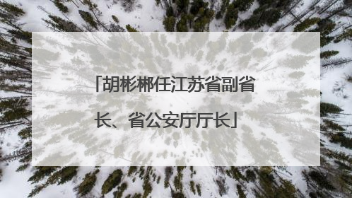 胡彬郴任江苏省副省长、省公安厅厅长