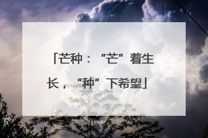 芒种：“芒”着生长，“种”下希望