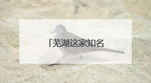 芜湖这家知名上市公司，中国行业第一！