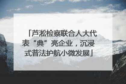 芦淞检察联合人大代表“典”亮企业，沉浸式普法护航小微发展