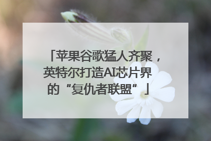 苹果谷歌猛人齐聚，英特尔打造AI芯片界的“复仇者联盟”