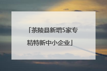 茶陵县新增5家专精特新中小企业