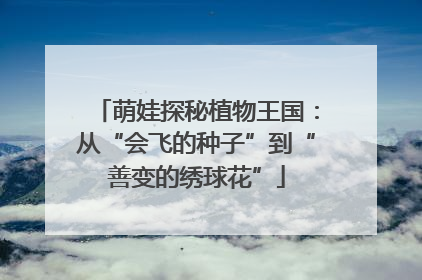 萌娃探秘植物王国：从“会飞的种子”到“善变的绣球花”