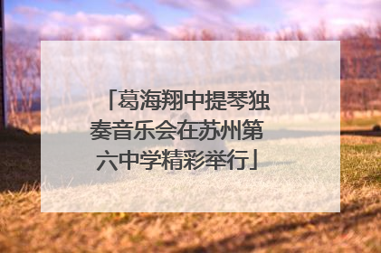 葛海翔中提琴独奏音乐会在苏州第六中学精彩举行