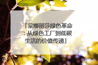 蒙娜丽莎绿色革命：从绿色工厂到低碳生活的价值传递