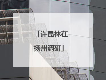 许昆林在扬州调研