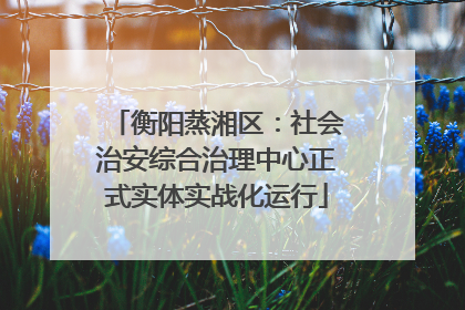 衡阳蒸湘区：社会治安综合治理中心正式实体实战化运行