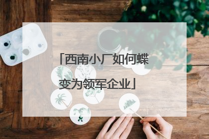 西南小厂如何蝶变为领军企业