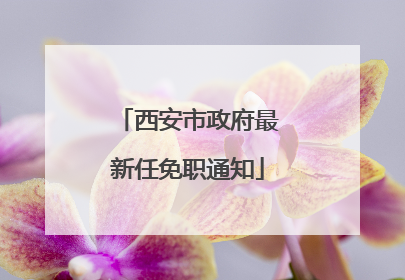 西安市政府最新任免职通知