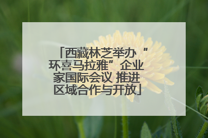 西藏林芝举办“环喜马拉雅”企业家国际会议 推进区域合作与开放