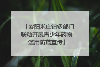 襄阳米庄镇多部门联动开展青少年药物滥用防范宣传
