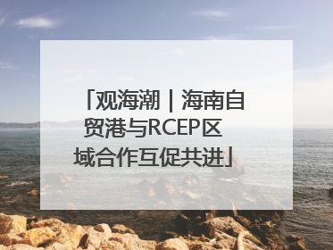 观海潮｜海南自贸港与RCEP区域合作互促共进