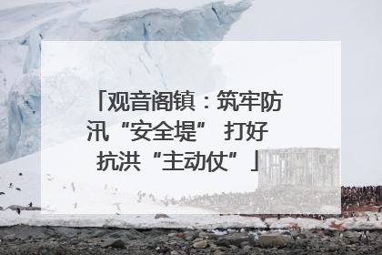 观音阁镇：筑牢防汛“安全堤” 打好抗洪“主动仗”
